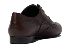Massimo Matteo Luna Wing Tip 12 Massimo Matteo Luna Wing Tip -Shoes Stories Shop 6145IbDcg4L