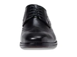 Johnston & Murphy Danridge Wing Tip -Shoes Stories Shop 61FSeQKxrTL