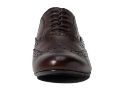 Massimo Matteo Luna Wing Tip 13 Massimo Matteo Luna Wing Tip -Shoes Stories Shop 61h49Z7w7rL