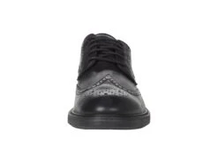 Cole Haan The Go-To Wing Oxford -Shoes Stories Shop 61jr1Fy7efL