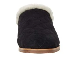 Bernardo Davida -Shoes Stories Shop 71FsKbABA6L