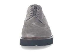 Gabor Gabor 95.244 -Shoes Stories Shop 71dEqRH52uL